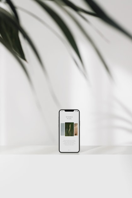 The Importance of User Testimonials on Landing Pages